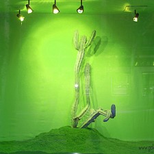 RUNNING: COYOTES &AMP; POLLEROS. INSTALACI�N EN ROOM ART FAIR. MADRID 2011