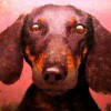 RETRATO 