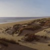 DUNAS