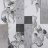 EVOLUCI�N EN MOVIMIENTO II