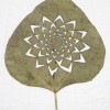 HOJA 014