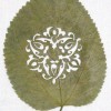 HOJA 015