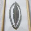 HOJA 022 - PLUMA