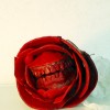'LA SONRISA PELIGROSA DE LA ROSA'