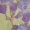 LIRIOS / IRIS