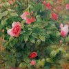ROSAS
