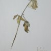 SIN T�TULO / UNTITLED