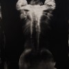 TORSO XIII