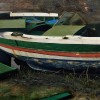 LA BARCA, DETALLE