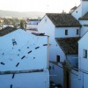 PAISAJE VERTICAL URBANO (C�RDOBA)