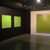 VISTA EXPOSICI�N EN LA GALER�A ANT�NIO PRATES. LISBOA 2011