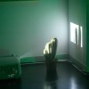 RUNNING: COYOTES &AMP; POLLEROS. INSTALACI�N EN ROOM ART FAIR. MADRID 2011