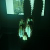 RUNNING: COYOTES &AMP; POLLEROS. INSTALACI�N EN ROOM ART FAIR. MADRID 2011